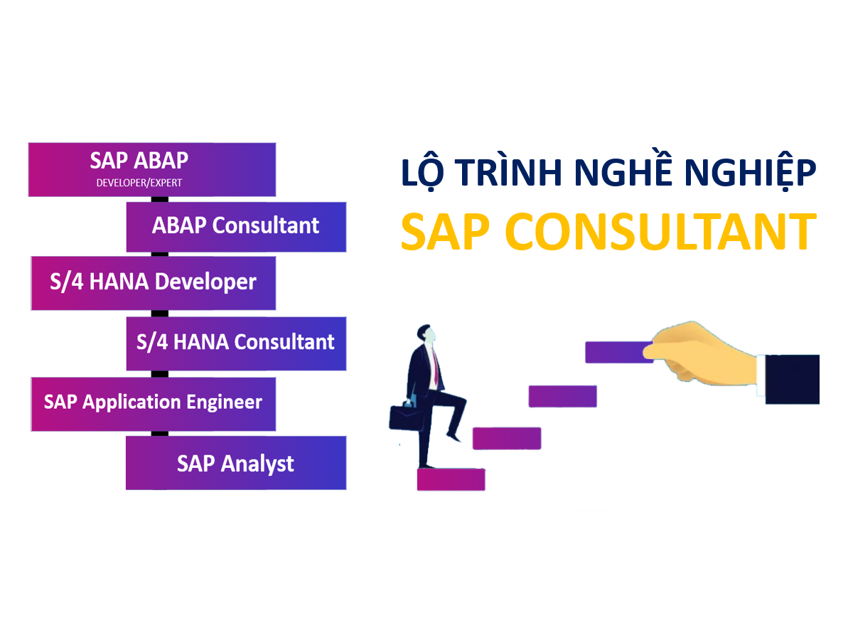 Lộ trình nghề SAP Consultant